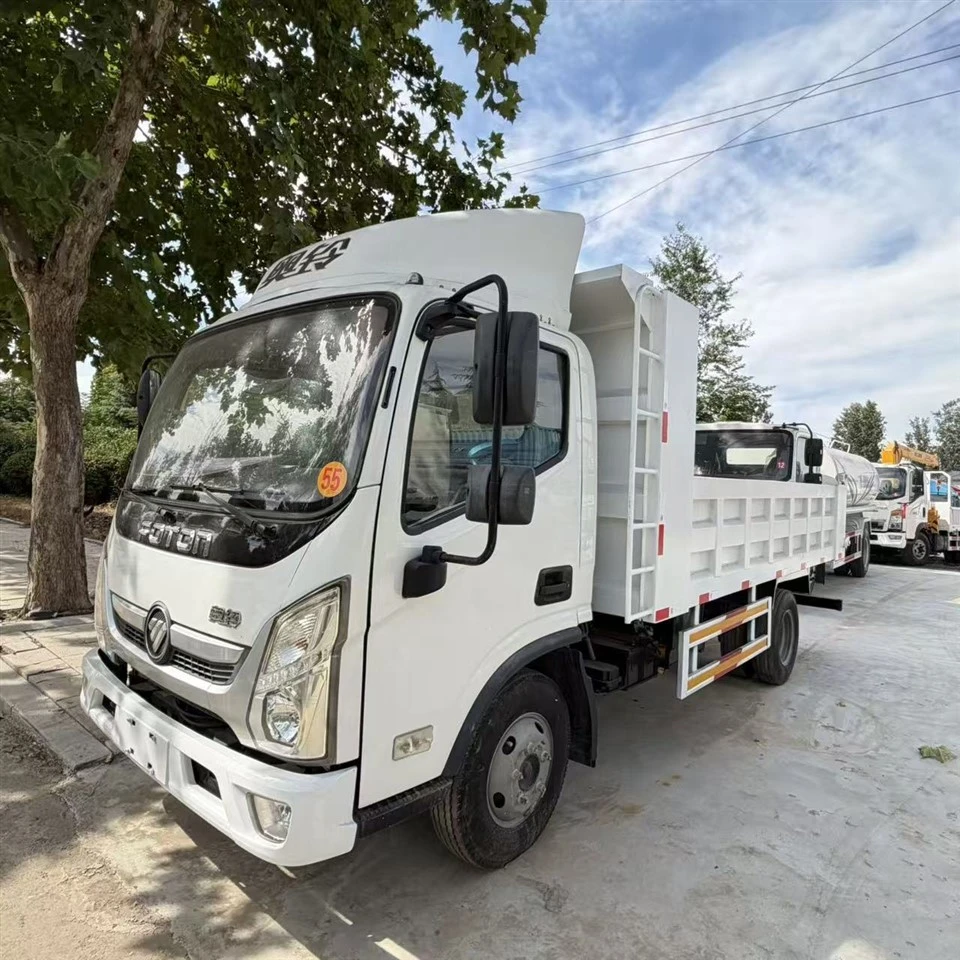 Small Light Dump Truck