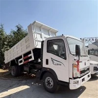 RHD Light Dump Truck